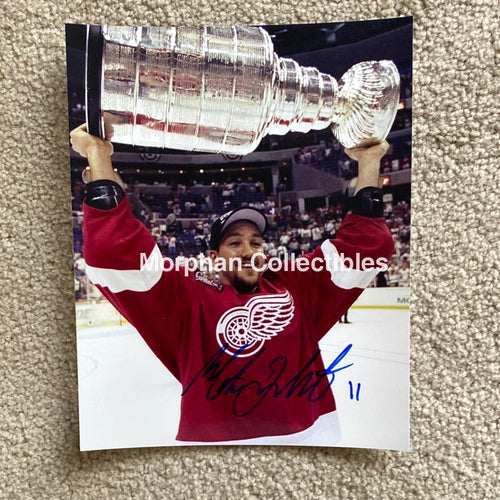 Matthieu Dandenault - Autographed 8X10 Photo Detroit Red Wings